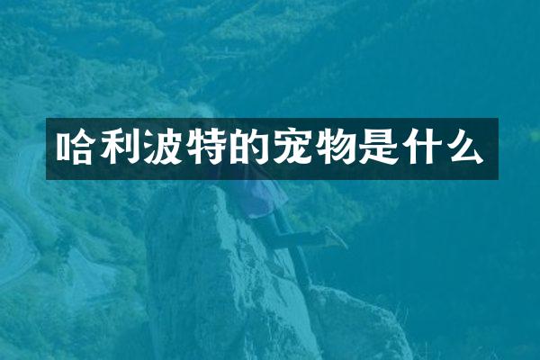 哈利波特的宠物是什么