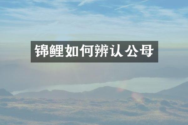 锦鲤如何辨认公母