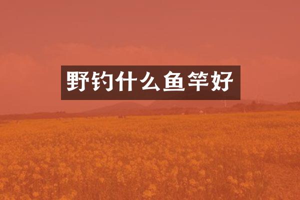 野钓什么鱼竿好
