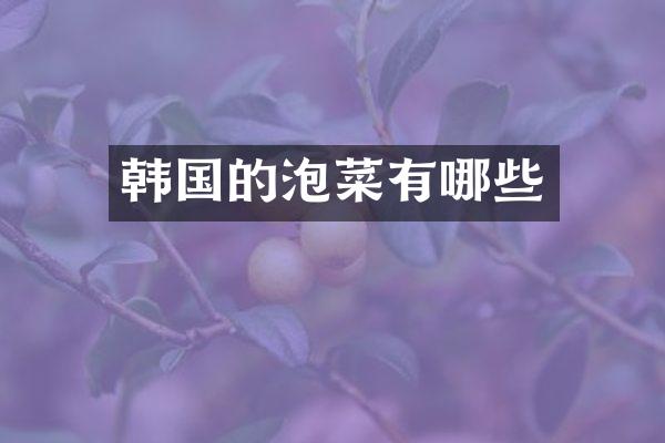 韩国的泡菜有哪些