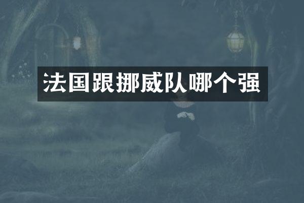 法国跟挪威队哪个强