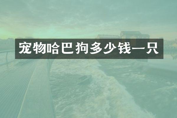 宠物哈巴狗多少钱一只