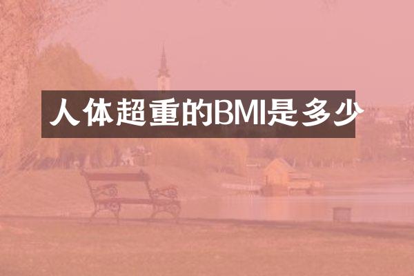 人体超重的BMI是多少