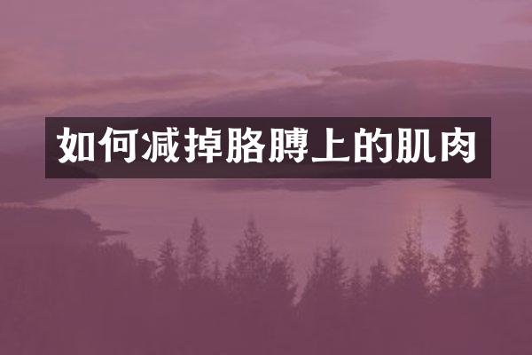 如何减掉胳膊上的肌肉