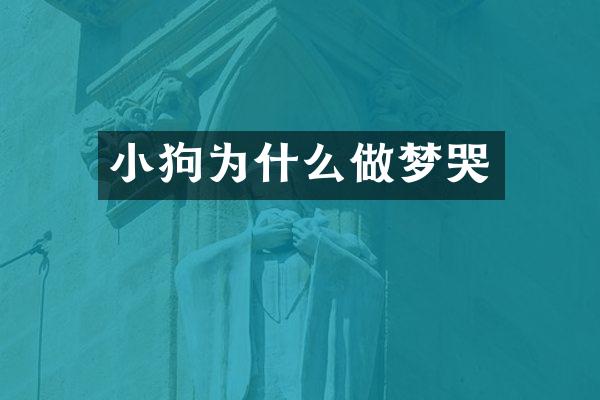 小狗为什么做梦哭