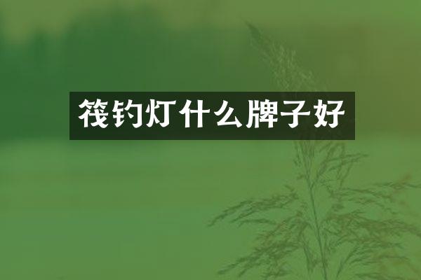 筏钓灯什么牌子好