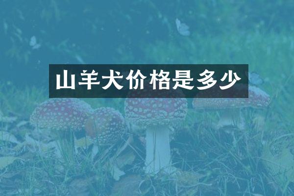 山羊犬价格是多少