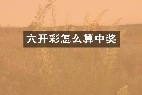 六开彩怎么算中奖