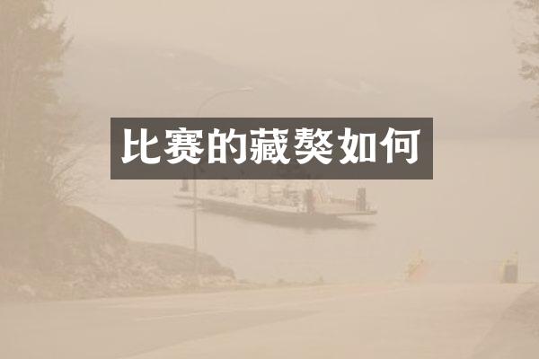 比赛的藏獒如何