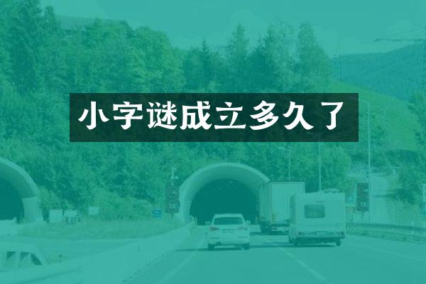 小字谜成立多久了