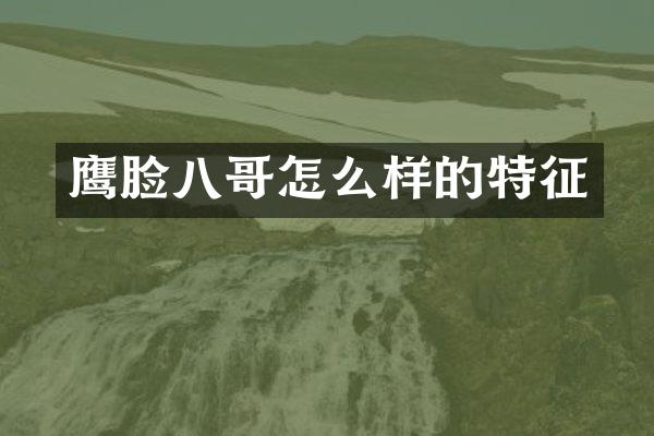 鹰脸八哥怎么样的特征