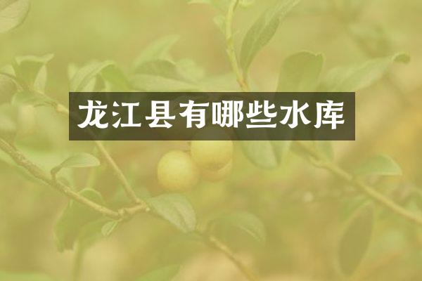 龙江县有哪些水库