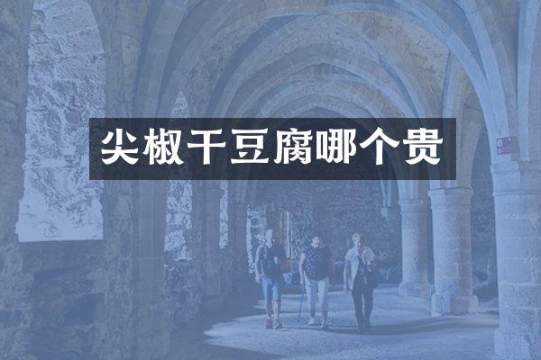 尖椒干豆腐哪个贵