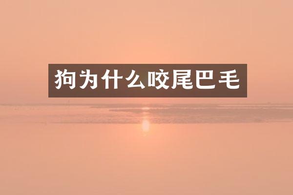 狗为什么咬尾巴毛