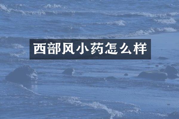 西部风小药怎么样