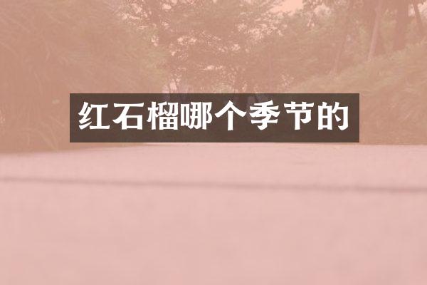 红石榴哪个季节的