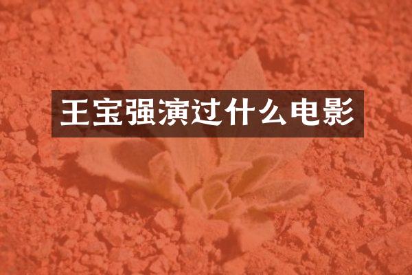 王宝强演过什么电影