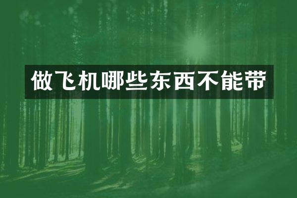 做飞机哪些东西不能带