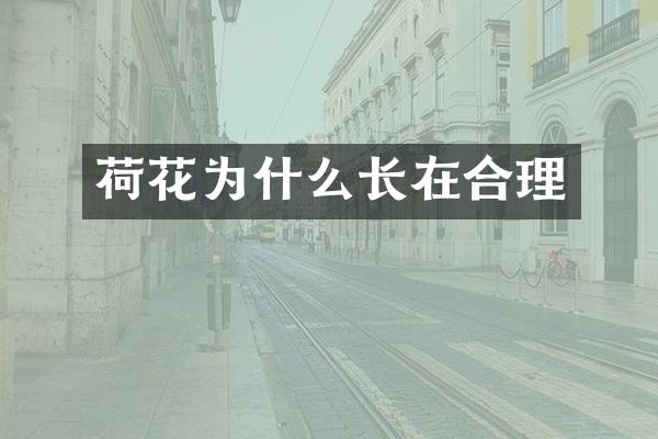 荷花为什么长在合理