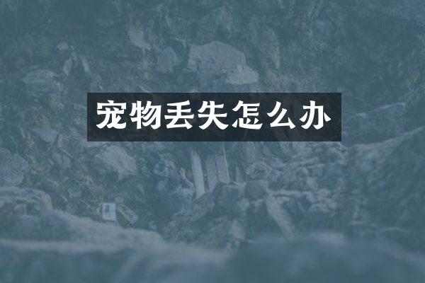 宠物丢失怎么办