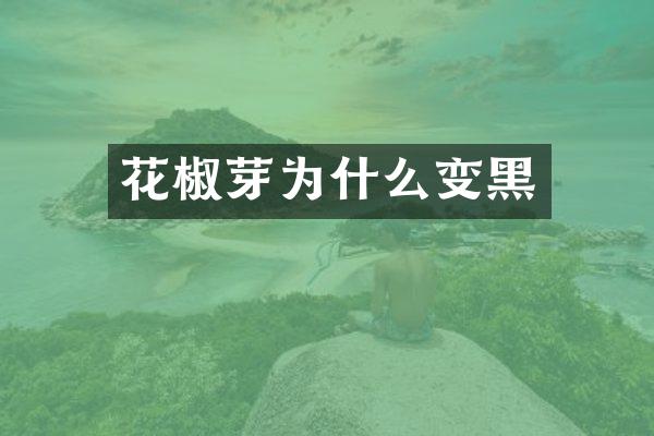 花椒芽为什么变黑