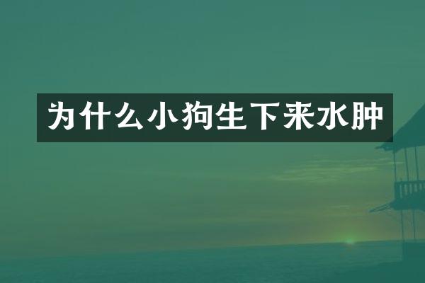 为什么小狗生下来水肿