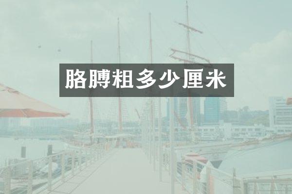 胳膊粗多少厘米