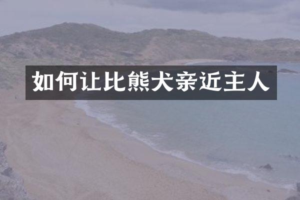 如何让比熊犬亲近主人