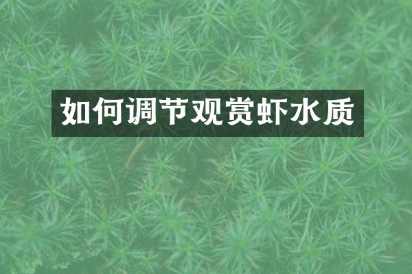 如何调节观赏虾水质
