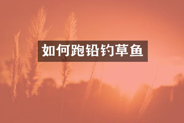 如何跑铅钓草鱼