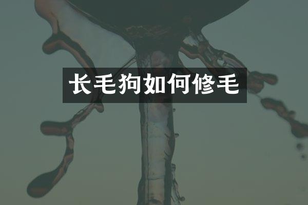 长毛狗如何修毛