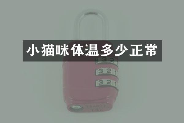 小猫咪体温多少正常