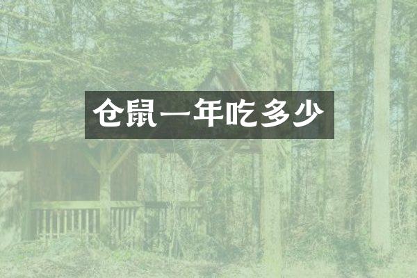 仓鼠一年吃多少