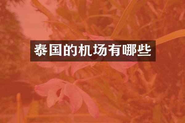 泰国的机场有哪些