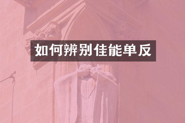 如何辨别佳能单反