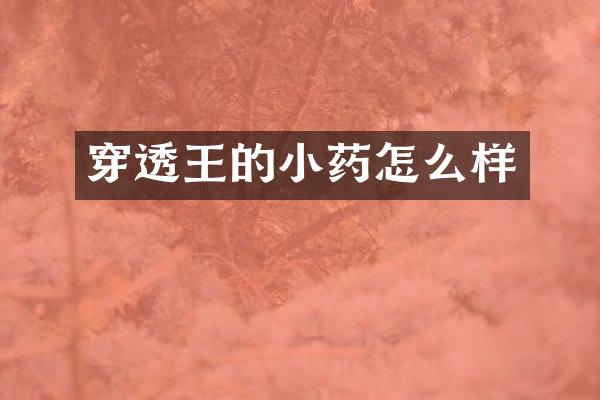 穿透王的小药怎么样