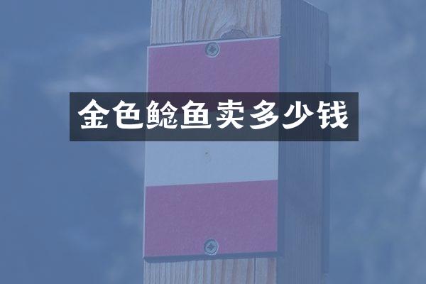 金色鲶鱼卖多少钱