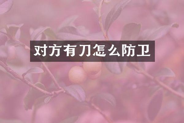 对方有刀怎么
