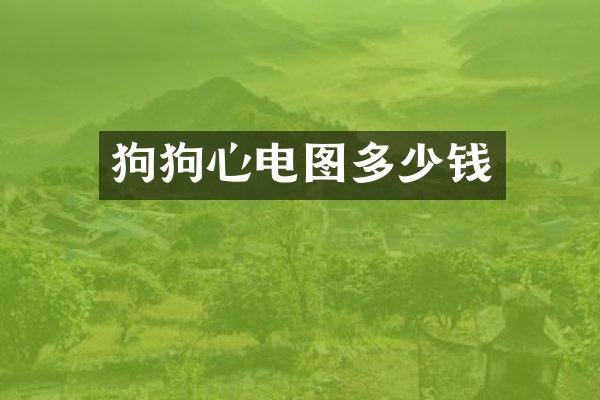 狗狗心电图多少钱