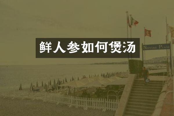 鲜人参如何煲汤