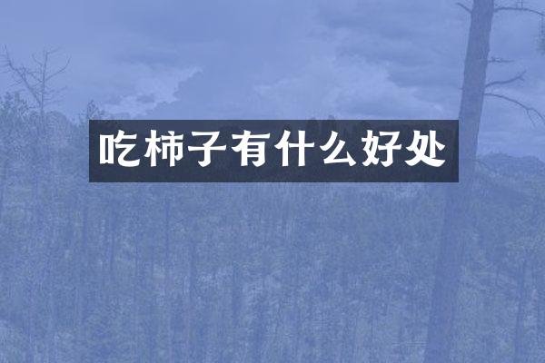 吃柿子有什么好处