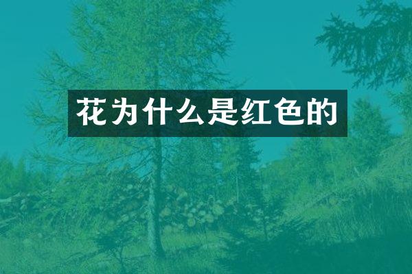花为什么是红色的
