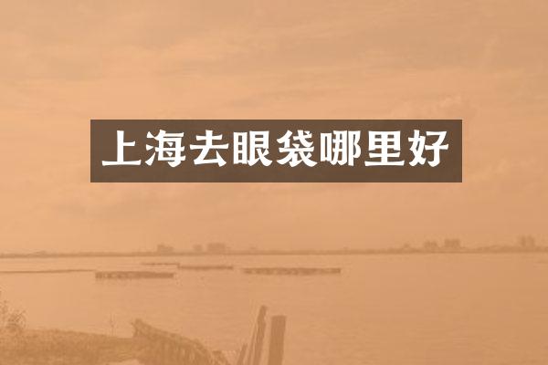 上海去眼袋哪里好