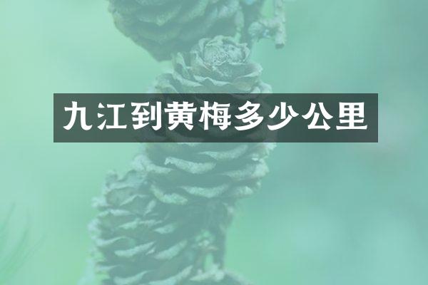 九江到黄梅多少公里