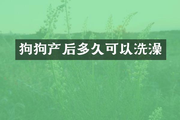 狗狗产后多久可以洗澡