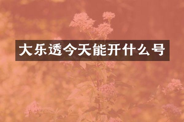 大乐透今天能开什么号