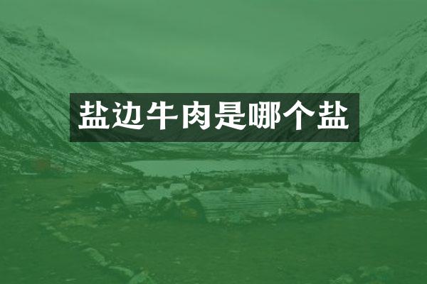 盐边牛肉是哪个盐