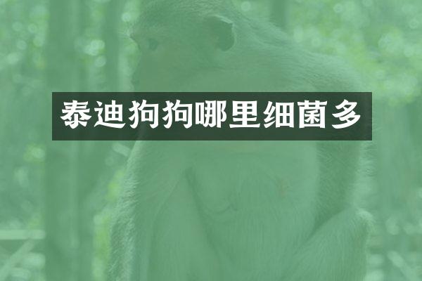 泰迪狗狗哪里细菌多