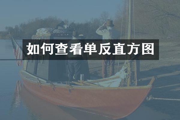 如何查看单反直方图