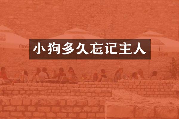 小狗多久忘记主人